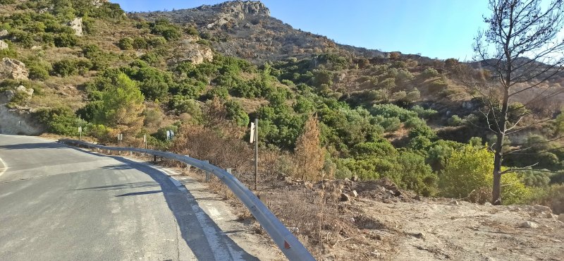 Ισόβια στους εμπρηστές