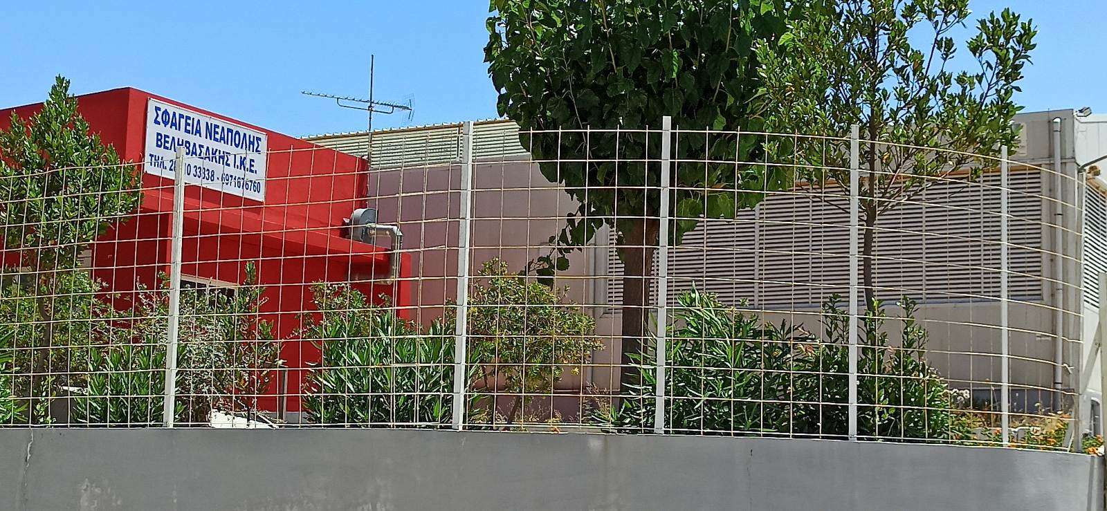 Άνοιγμα των σφαγείων για τα μικρά μηρυκαστικά ζώα στις ΠΕ Χανίων, Ρεθύμνου και Λασιθίου ζητά η Περιφέρεια Κρήτης 