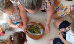 Φυλλαράκια – Παιχνίδια με βιβλία για μικρά – μικρά παιδάκια