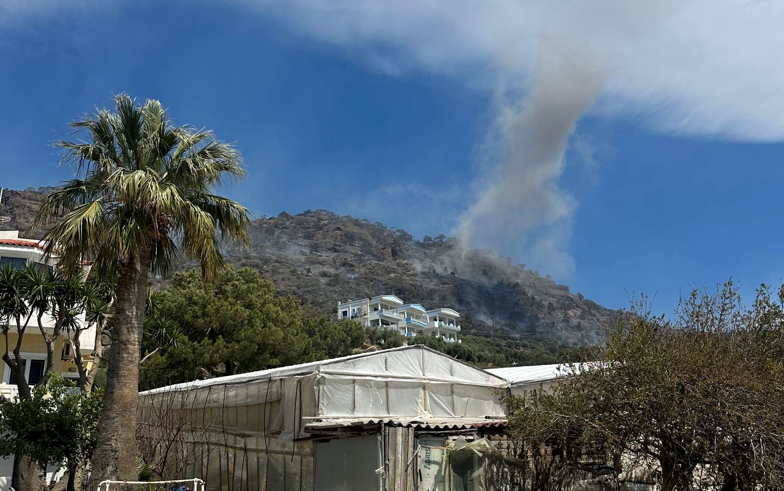 Τις πυρκαγιές τις βάζει ανθρώπινο χέρι, όχι η "κλιματική αλλαγή".....