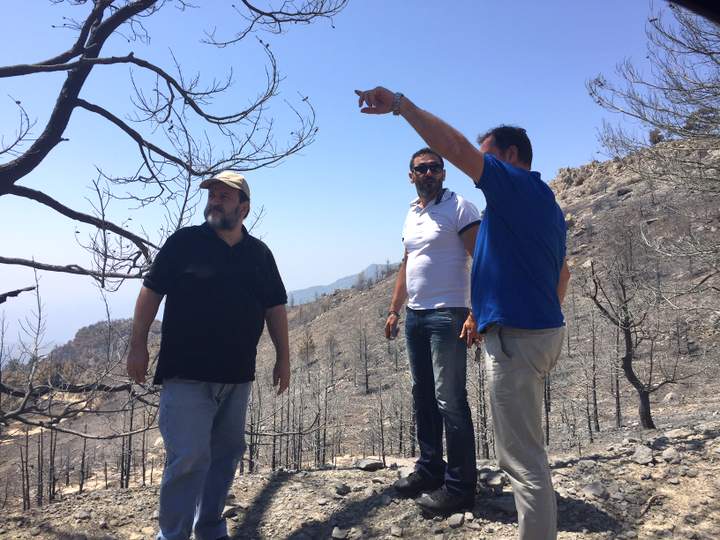 ο ΕΓΛΑ απαιτεί ασφαλιστικές εισφορές για τα καμένα