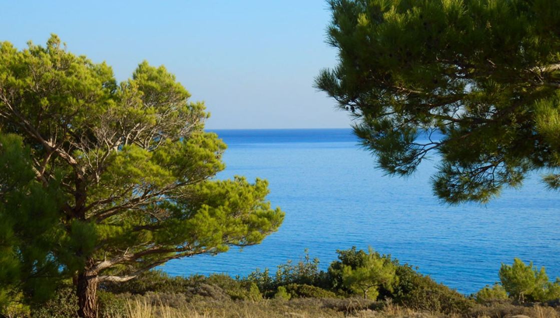 Ομάδα ενότητας & επανίδρυσης δήμου Μακρύ Γιαλού, νέο Δ.Σ.