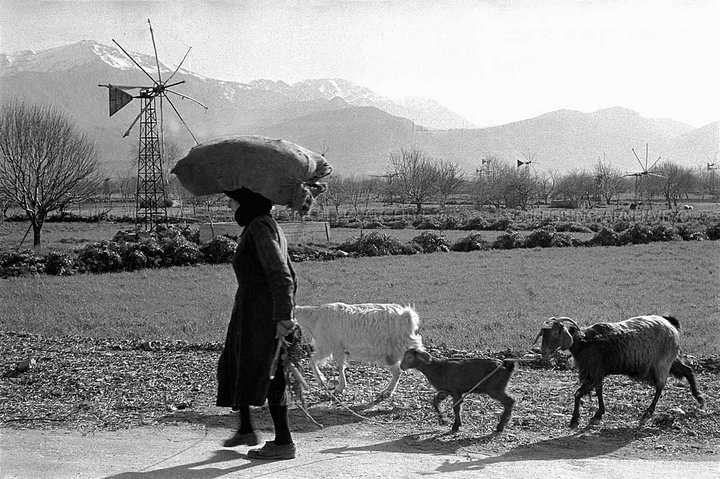 Παγκόσμια Ημέρα Αγρότισσας, μήνυμα Υπουργείου Αγρ. Ανάπτυξης