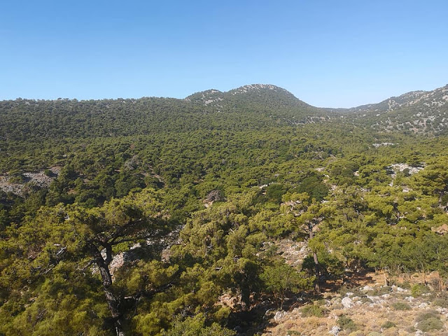 Πεζοπορία στο δάσος του Κρούστα