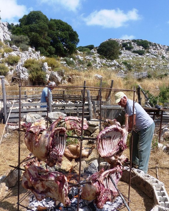 Βιωματικός τουρισμός και κουρές προβάτων