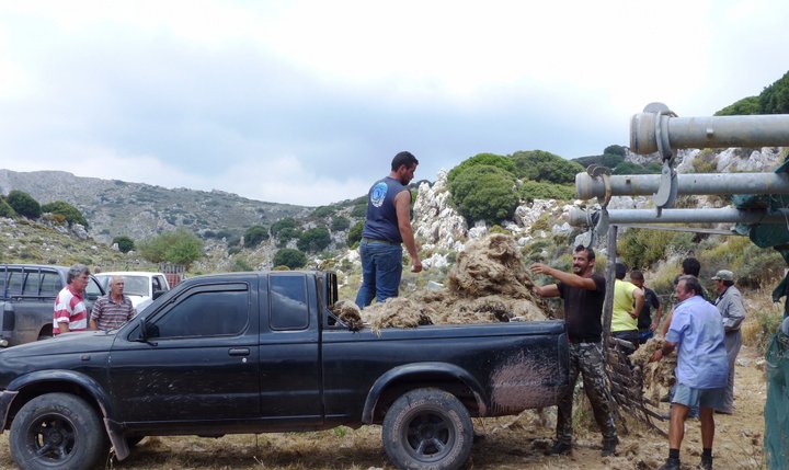Βιωματικός τουρισμός και κουρές προβάτων
