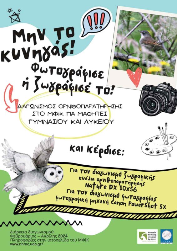 «Μην το κυνηγάς! Φωτογράφισε ή ζωγράφισέ το!» Διαγωνισμός Ορνιθοπαρατήρησης για μαθητές Γυμνασίου και Λυκείου