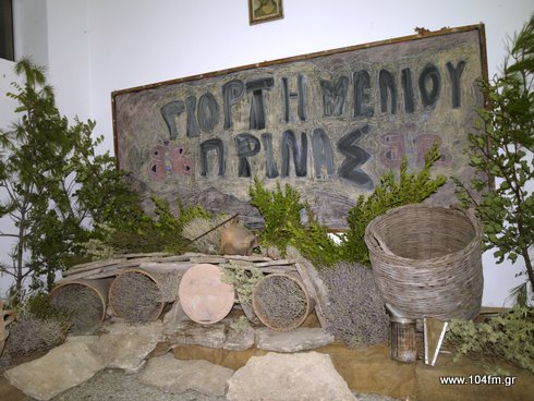 Prina_meli2011a