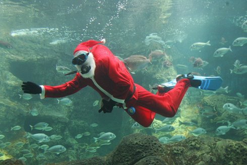 Santa_Claus_diver