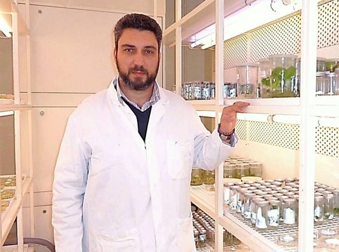 Παναγιώτης Σαρρής