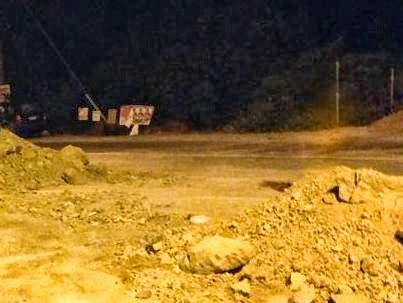 Σεληνάρι ανοιχτό