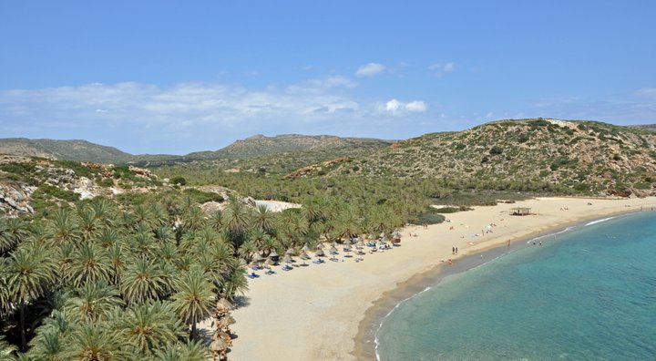 Ερώτηση στη Βουλή για το κόκκινο σκαθάρι