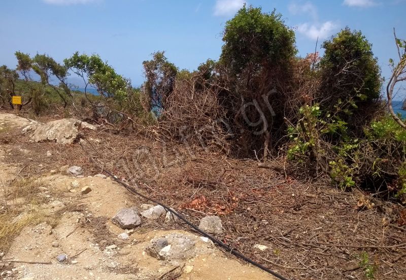 Όταν αυτοκίνητο ή κατολίσθηση καταπλακώσει λουόμενο ....