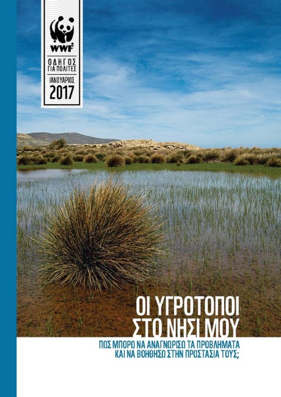 Οι υγρότοποι στο νησί μου: πώς μπορώ να αναγνωρίσω 