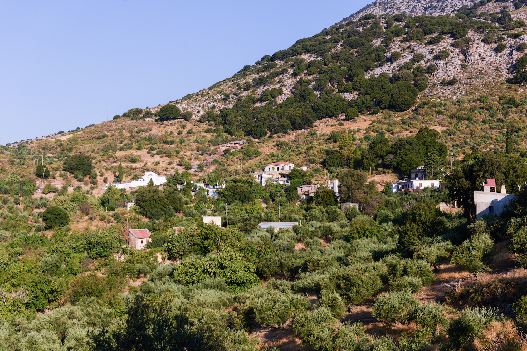διακοπή ηλεκτρικού ρεύματος από Ζένια έως έξω Ποτάμους