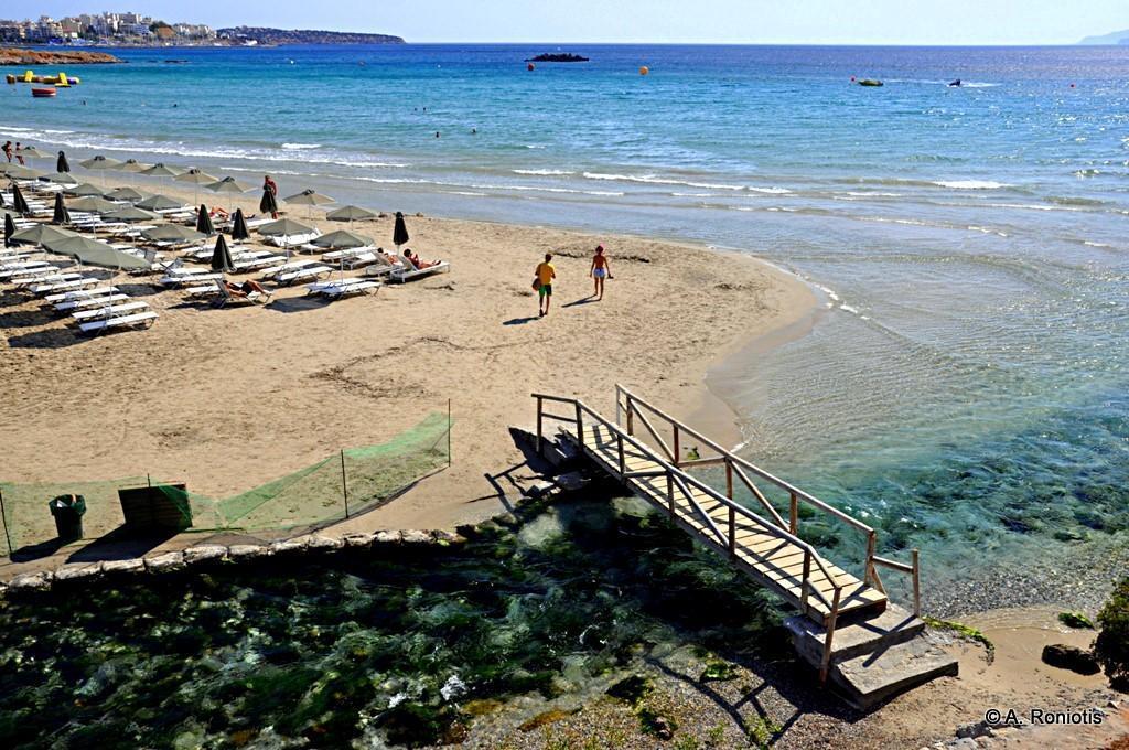 Πτώμα άγνωστου άνδρα στον Αλμυρό