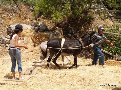 αλωνέματα 2010