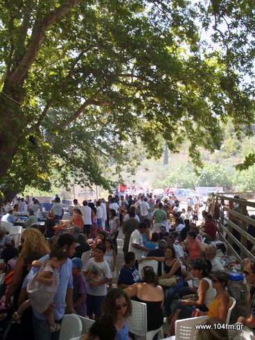 αλωνέματα 2010