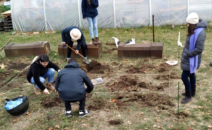 ArchaeoLogic Βιωματικό Αρχαιολογικό Φεστιβάλ Ιεράπετρα 3-5 Μαΐου  2019 