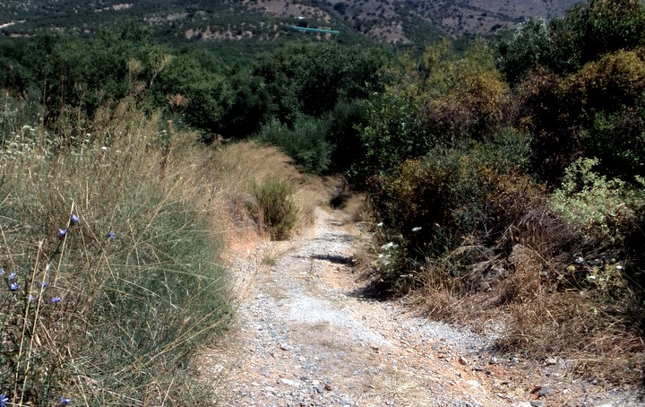 αγροτικός δρόμος κάπου στη περιοχή της Νεάπολης