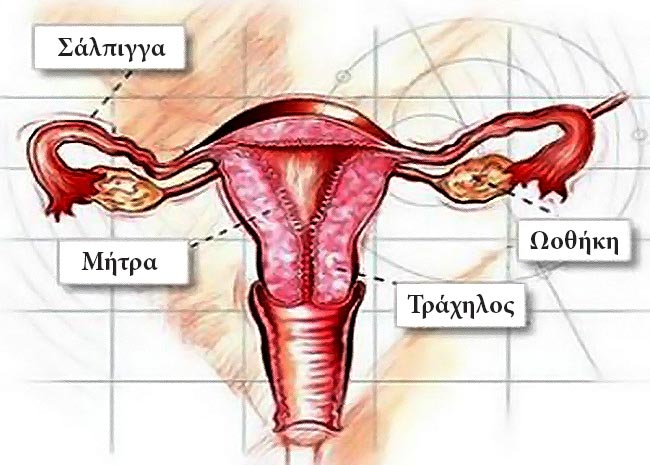 Παγκόσμια ημέρα κατά του καρκίνου τραχήλου της μήτρας