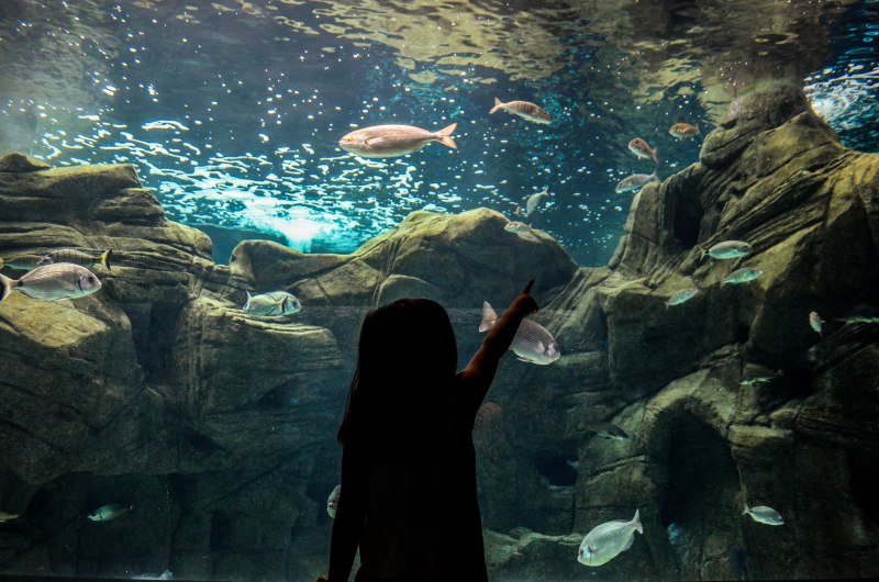 το Ενυδρείο Κρήτης CRETAquarium, επαναλειτουργεί από 17/5