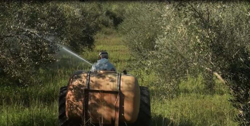Εφαρμογή του προγράμματος δακοκτονίας έτους 2019 στην Περιφέρεια Κρήτης