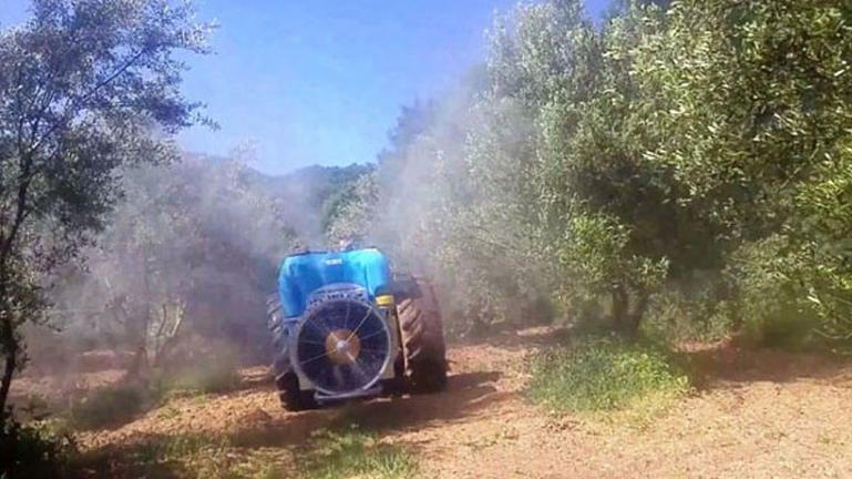 Για τη φετινή δακοκτονία και την  πορεία υλοποίησής της, ερώτηση Λαϊκής Συσπείρωσης
