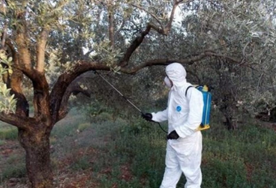 Για τη φετινή δακοκτονία και την πορεία υλοποίησής της, ερώτηση Λαϊκής Συσπείρωσης