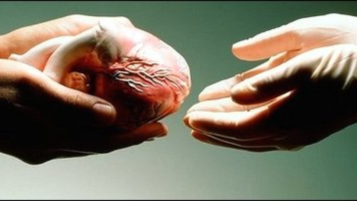 Κατανυκτικός Εσπερινός την Κυριακή της Ορθοδοξίας και ομιλία για τη Δωρεά των οργάνων από τον π. Εμμανουήλ Αντωνακάκη