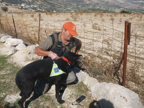 εκπαιδευμένος σκύλος