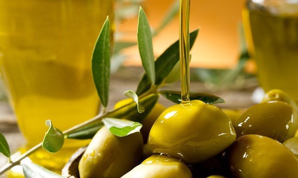 Τα δώρα της Ελιάς