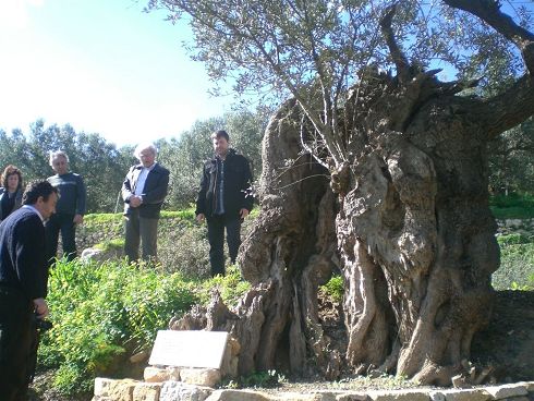 Φουρκολιά στη Σητεία