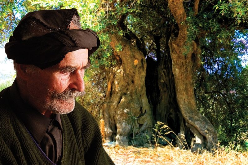 τροφό, δασκάλα, μούσα. Έτσι είδα και τις ελιές του, τροφούς, δασκάλες, μούσες.