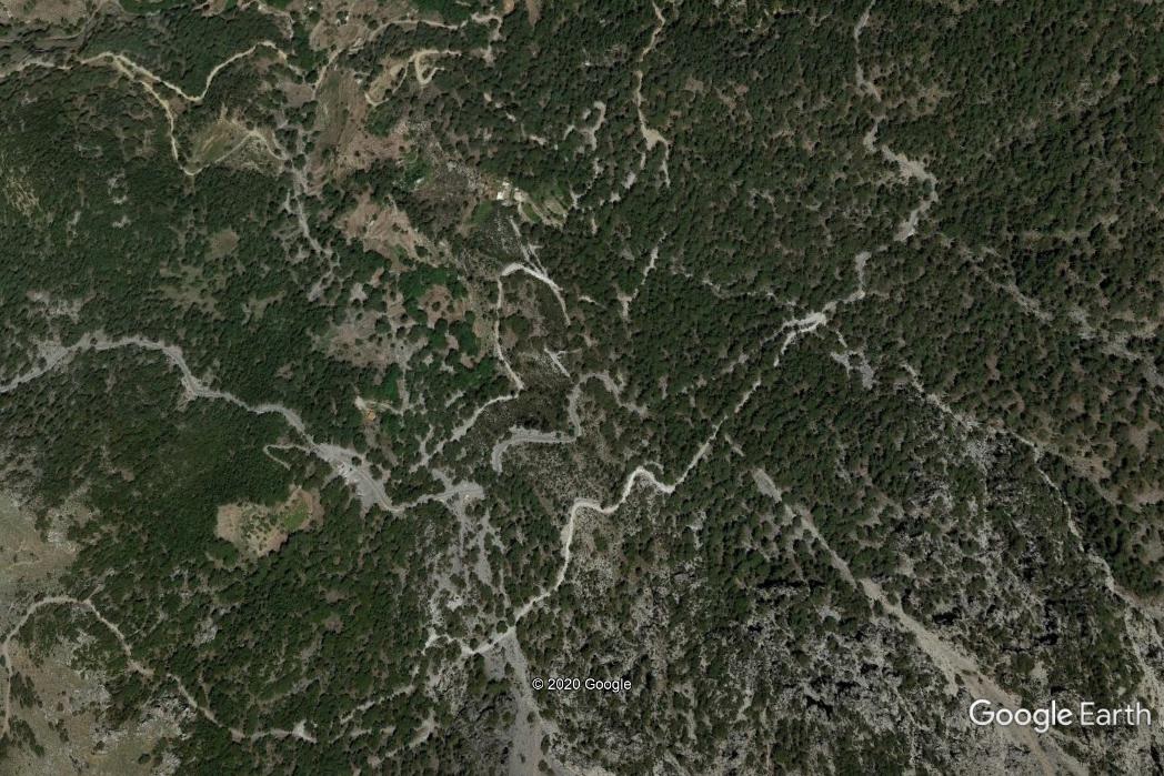 θέματα δασών και περιβάλλοντος σε συναντήσεις συντονίστριας της αποκεντρωμένης