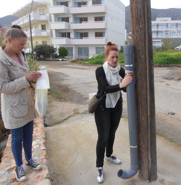 ταΐστρες για αδέσποτες γάτες στη Χερσόνησο