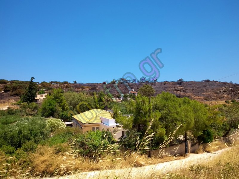 Σύλληψη για τη φωτιά στο Γαργαδώρο