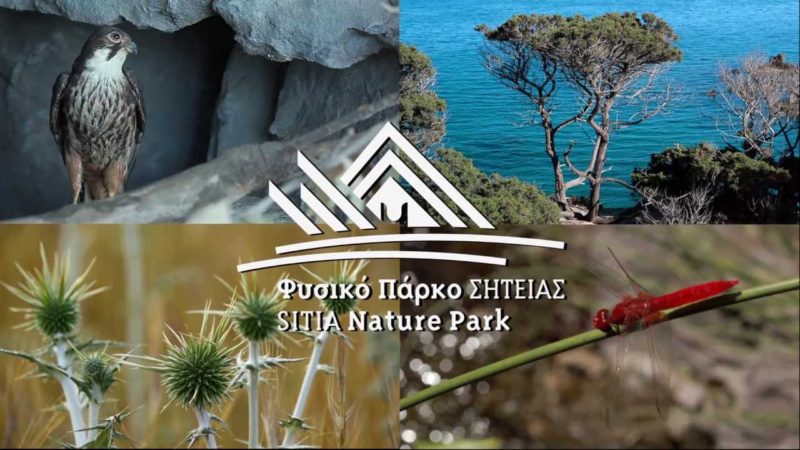συνεδρίαση της  επιτροπής διαχείρισης Γεωπάρκου Σητείας