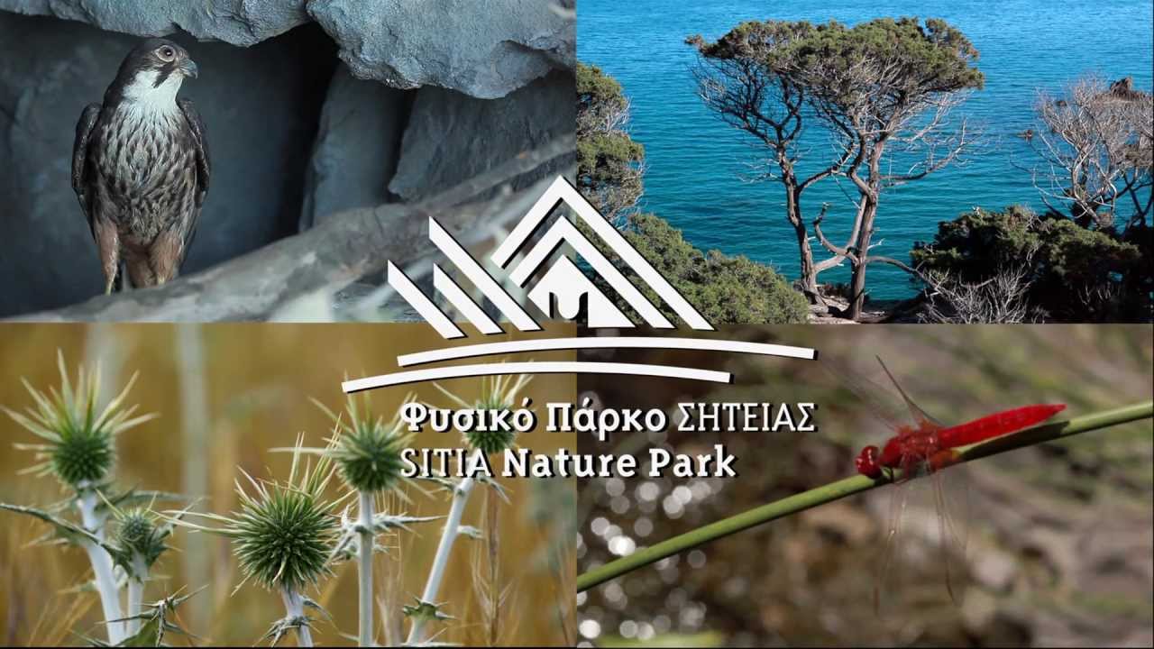συνεδρίαση της επιτροπής διαχείρισης Γεωπάρκου Σητείας