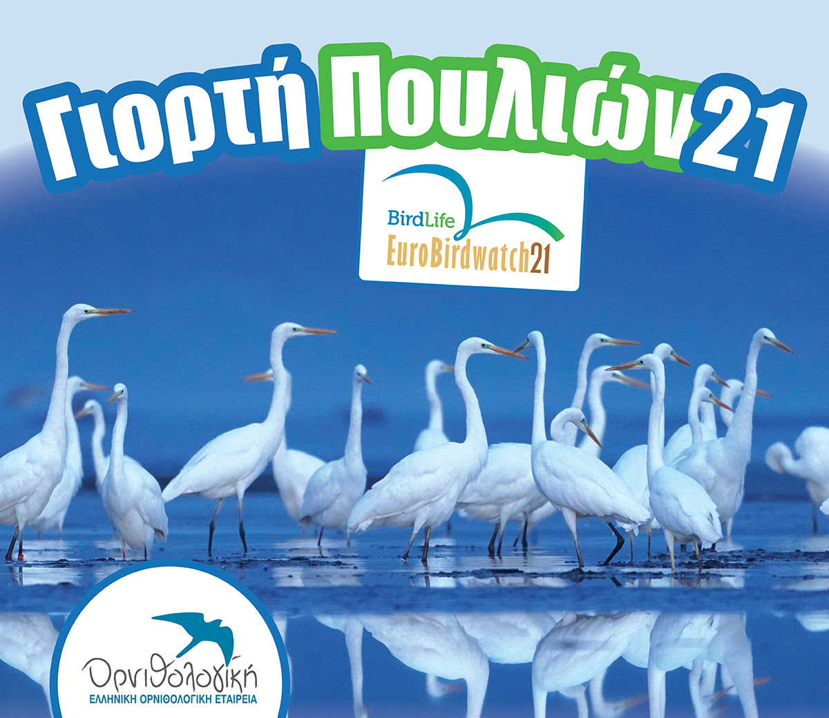 Ευρωπαϊκή Γιορτή των Πουλιών 2021. Μια γιορτή αφιερωμένη στη φθινοπωρινή μετανάστευση