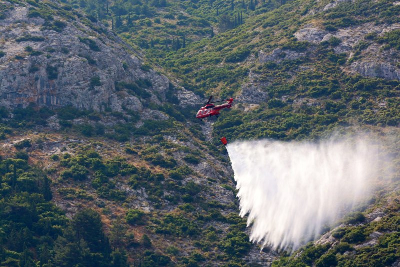 απαγόρευση καύσης και χρήσης πυρός σε δάση