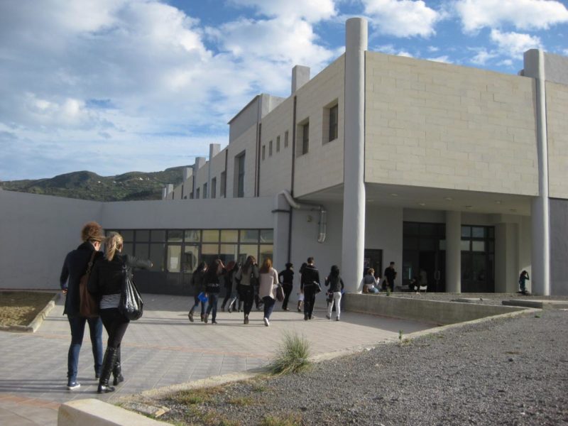 Ασθένειες και Εχθροί της Ελιάς, ενημερωτική εκδήλωση στη Σητεία