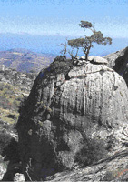 Τοπίο από την περιοχή της Καλαμαύκας