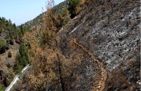 αντιπυρική περίοδος 2021