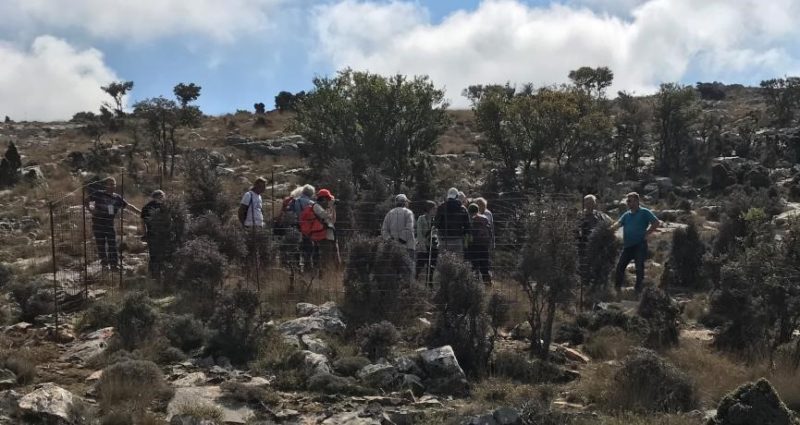 Διατήρηση της Αμπελιτσιάς, συνάντηση της επιστημονικής επιτροπής του προγράμματος 