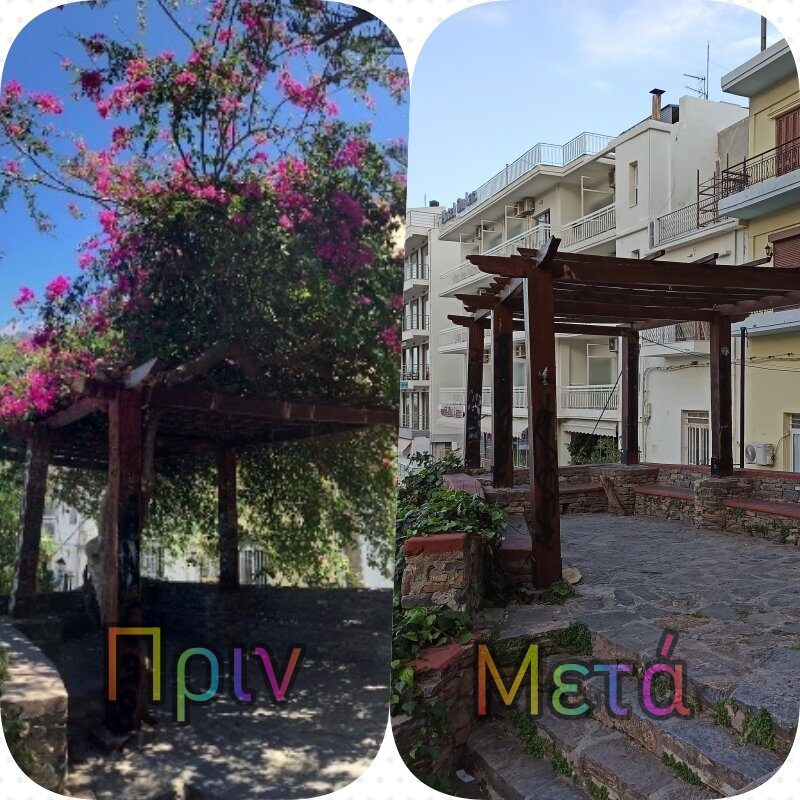 Τι έγινε η βουκαμβίλλια;