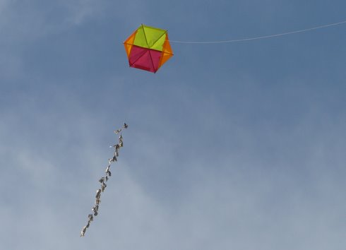 kites1