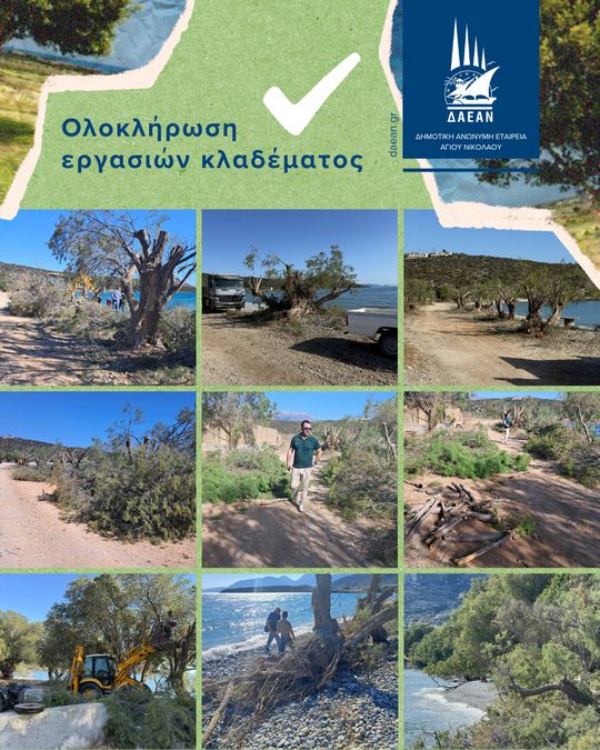 εργασίες κλαδέματος από τη Δ.Α.Ε.Α.Ν.
