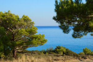 Διακοπή ηλεκτρικού ρεύματος στον Κουτσουρά