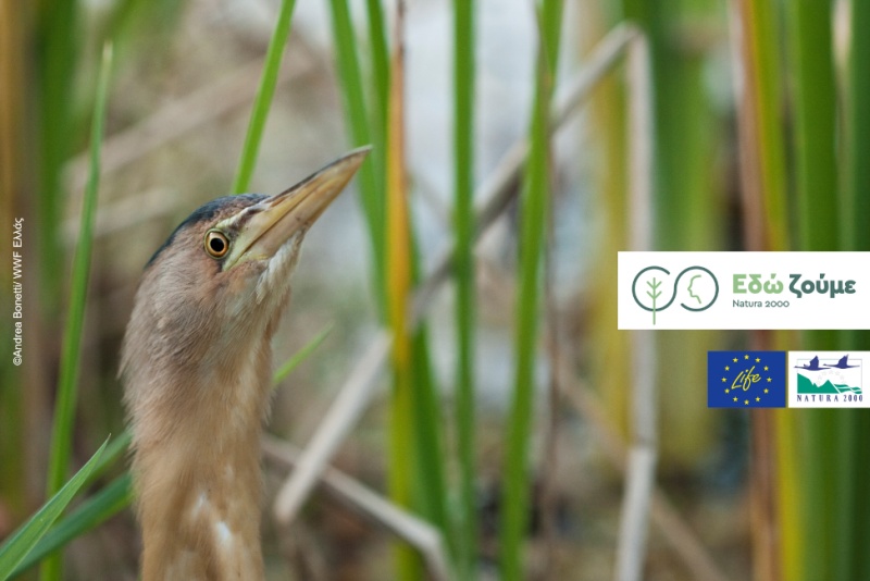 Ευρωπαϊκή Ημέρα Natura 2000: Μια γιορτή για την προστασία της φύσης